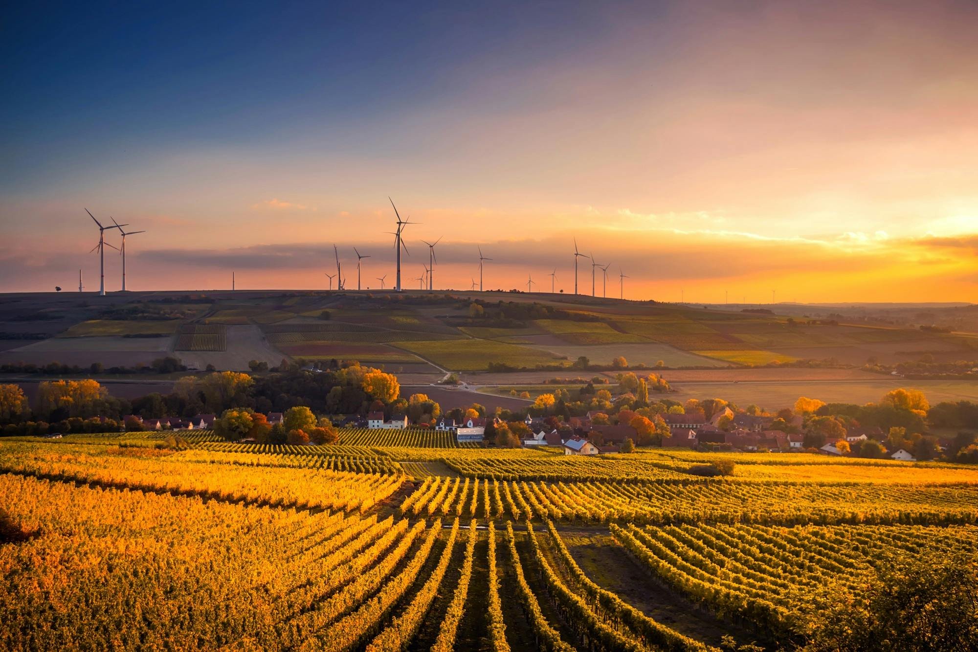 Climate Governance Initiative Germany
