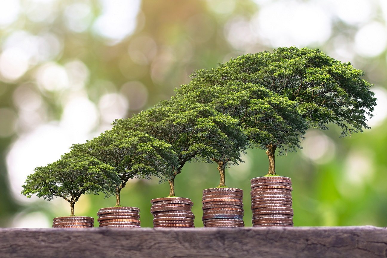 Sustainable money trees